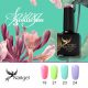 Spring  gel polish Colour Selection, 4 Pcs CCO Quality  gel polish Set 3