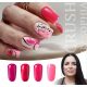 Crush by Sophia gel polish collection with 4 pcs gel pads and gift daisies