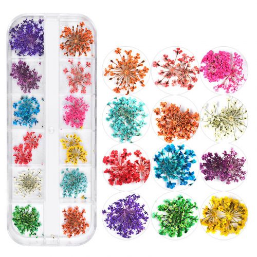 Dried flowers, multicoloured, in 12 compartments